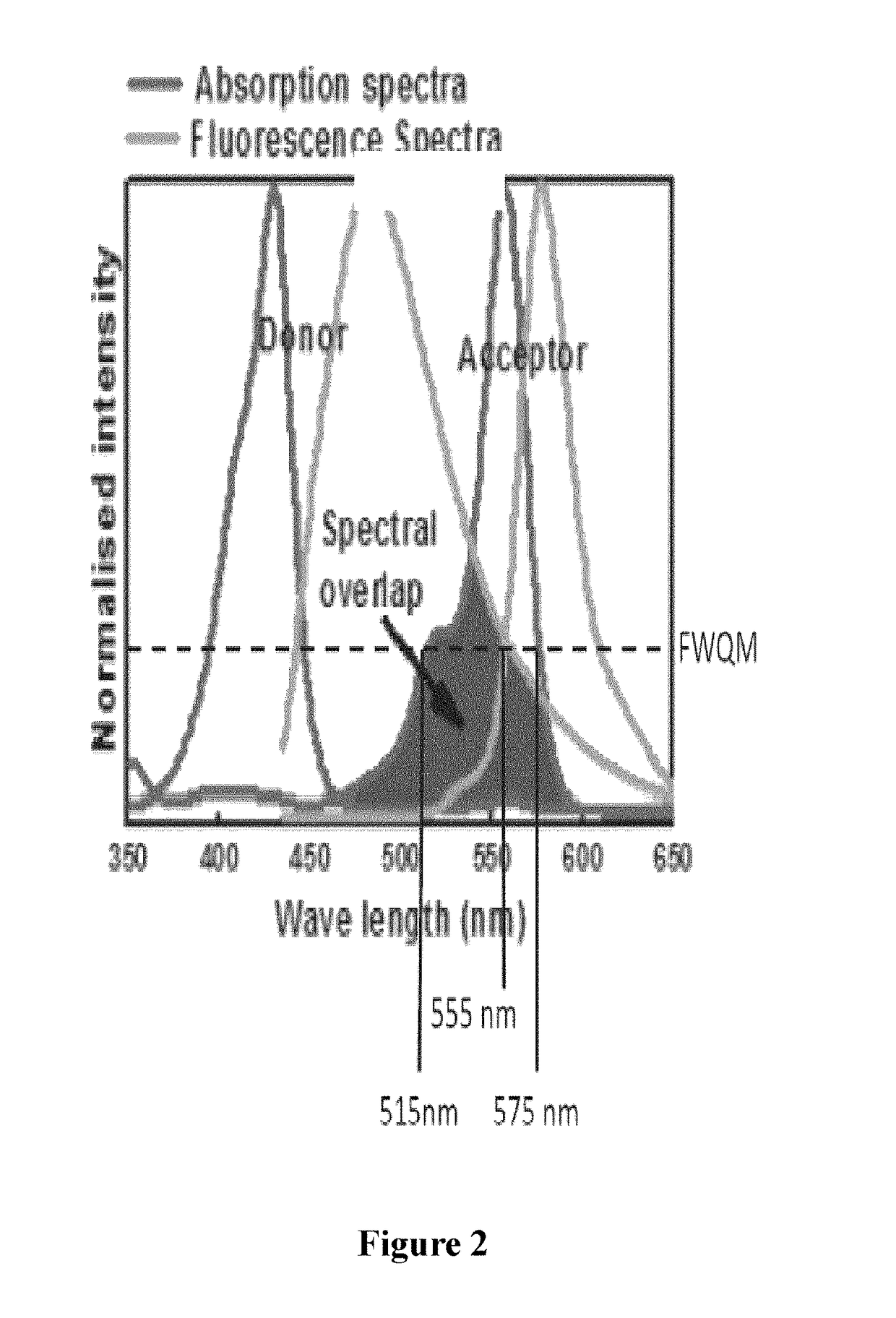 Biophotonic compositions for the treatment of otitis externa