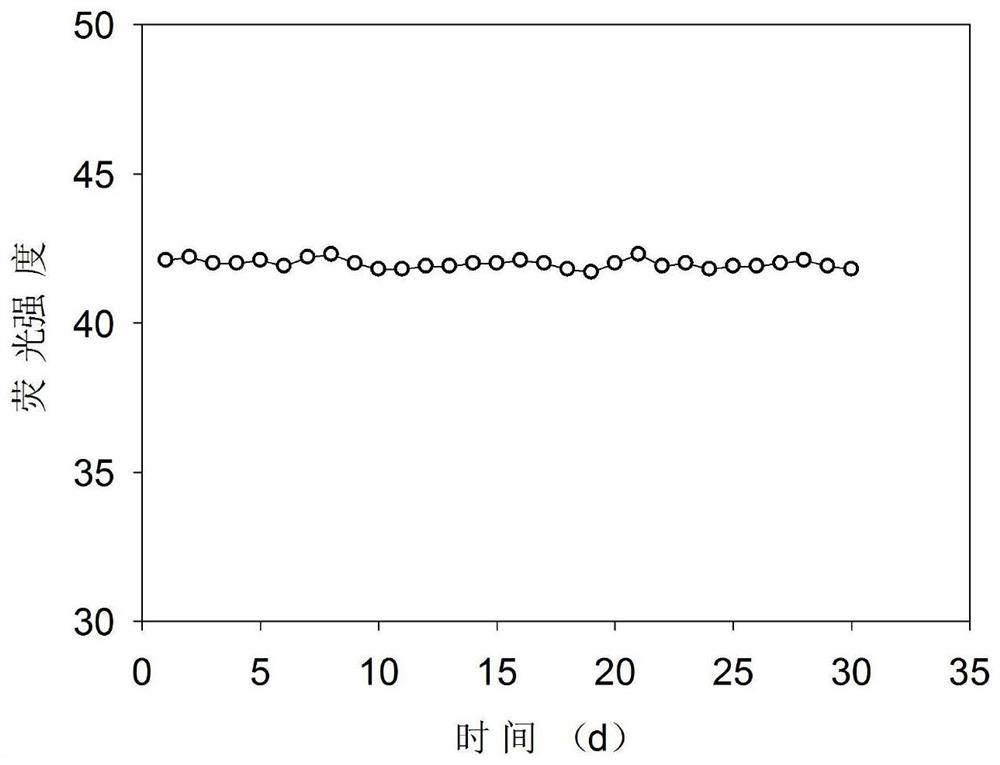 N, S-doped carbon quantum dots based on choline ionic liquid and preparation method thereof