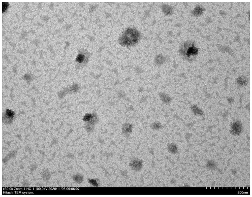 N, S-doped carbon quantum dots based on choline ionic liquid and preparation method thereof