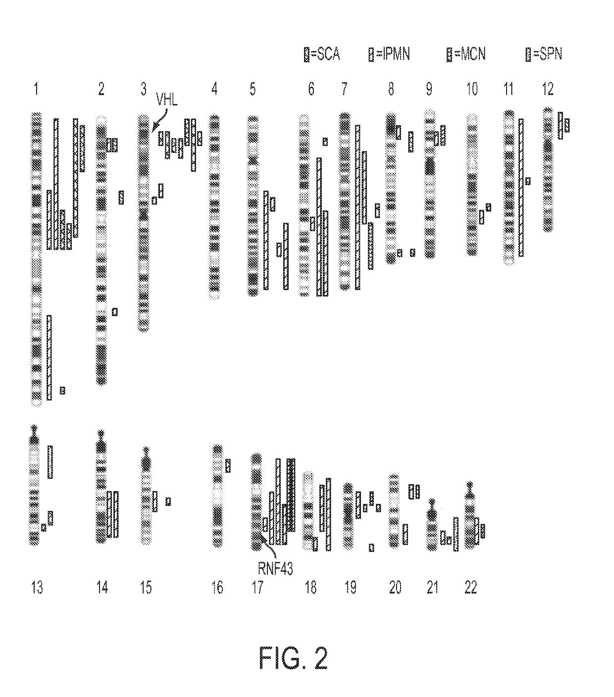 Differential Identification of Pancreatic Cysts