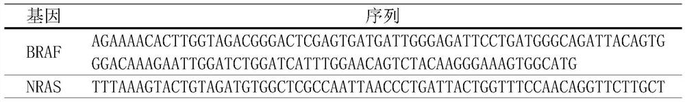 Application of gene mutation site and mutation site detection method