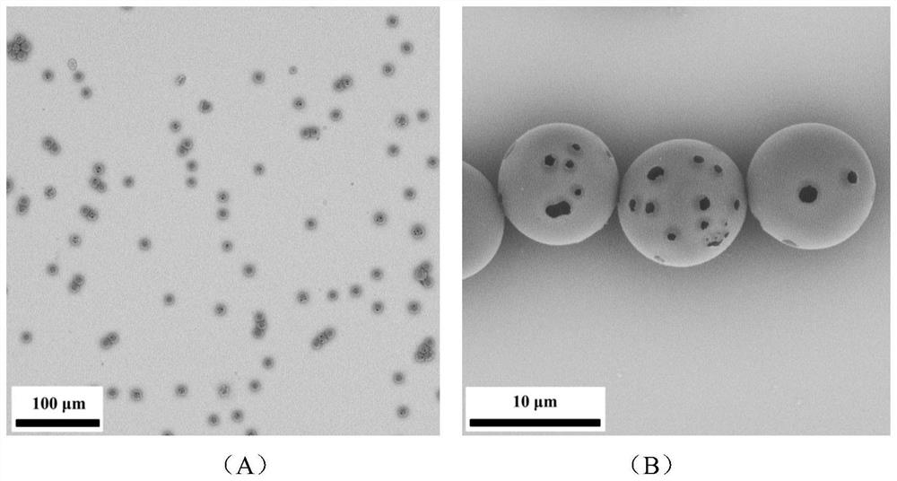 Monodisperse polymer porous microsphere and preparation method thereof