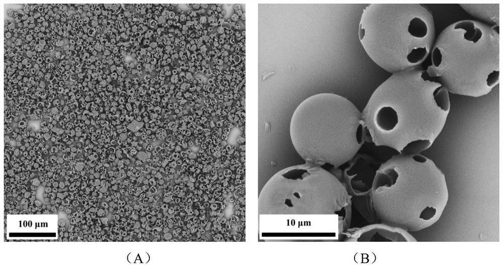 Monodisperse polymer porous microsphere and preparation method thereof