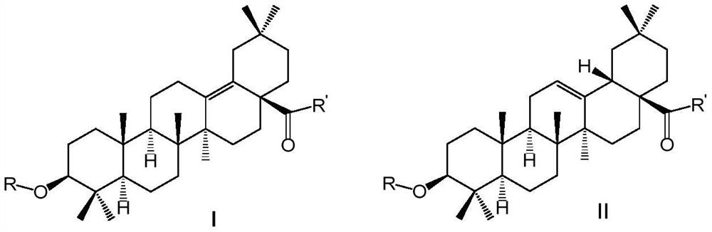 Derivatives of oleanolic acid and delta-oleanolic acid and medical application thereof