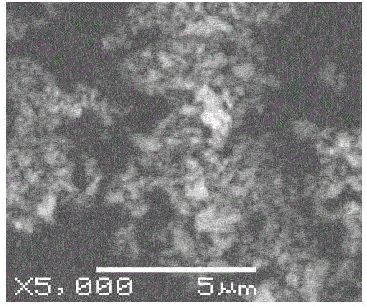 A method for preparing copper powder or nickel powder and its electrolysis device