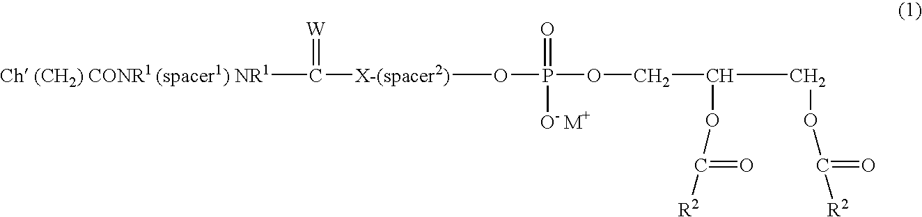 Lipophilic derivatives of chelate monoamides