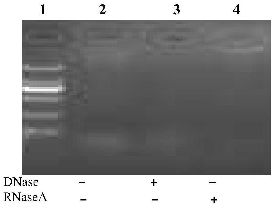 A method of extracting milk exosomes