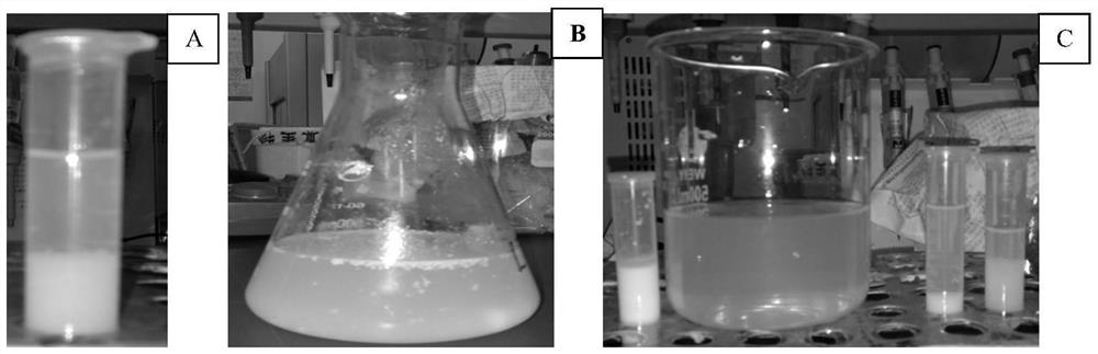 A method of extracting milk exosomes