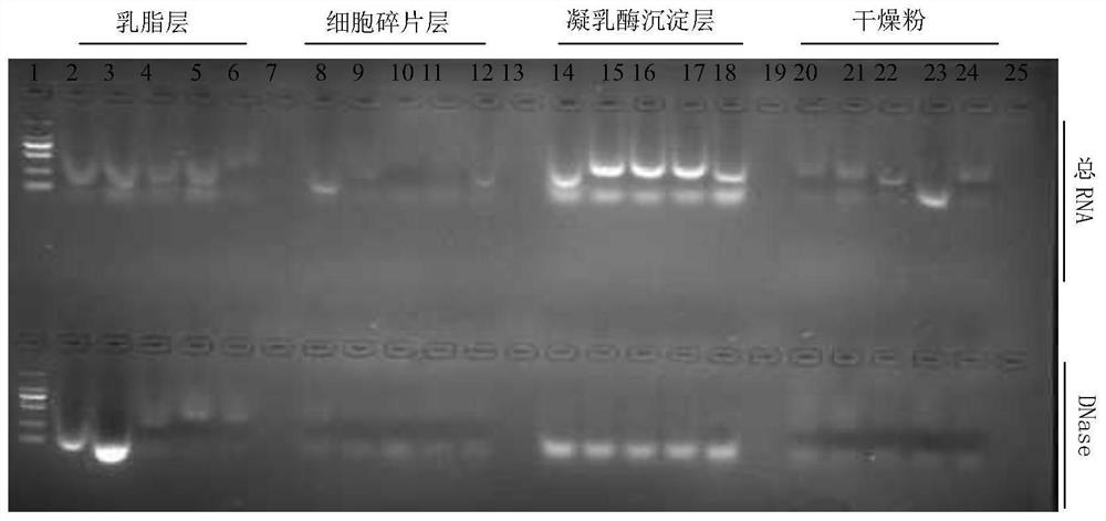 A method of extracting milk exosomes