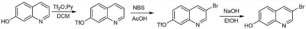 A kind of synthetic method of 3-bromo-7-hydroxyquinoline