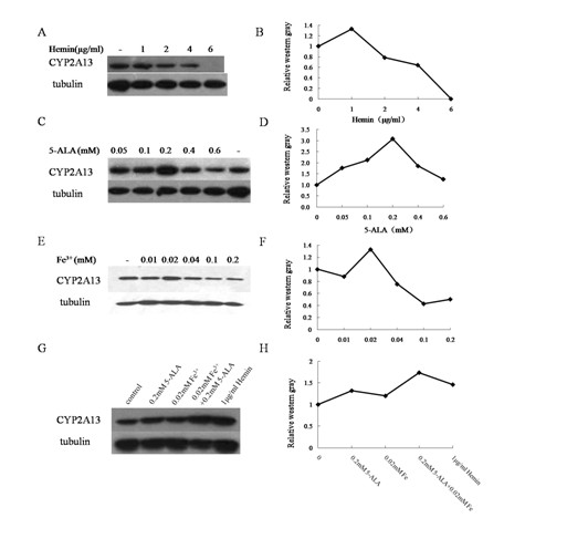 Method for improving in-vitro expression of cytochrome P450 enzyme family