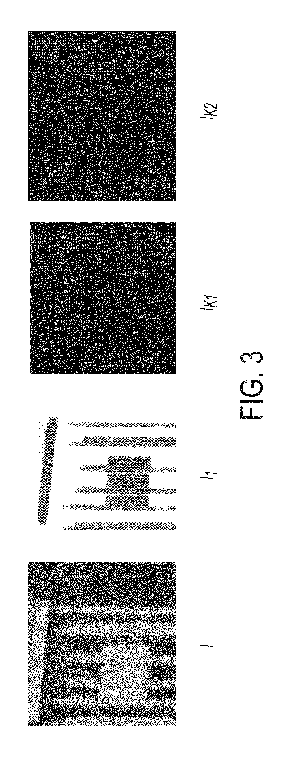 Method and apparatus for segmenting image into halftone and non-halftone regions