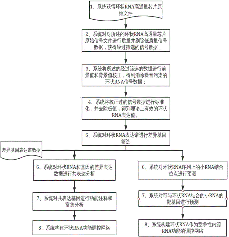 High-flux chip data processing and analysis process control method for circular RNA