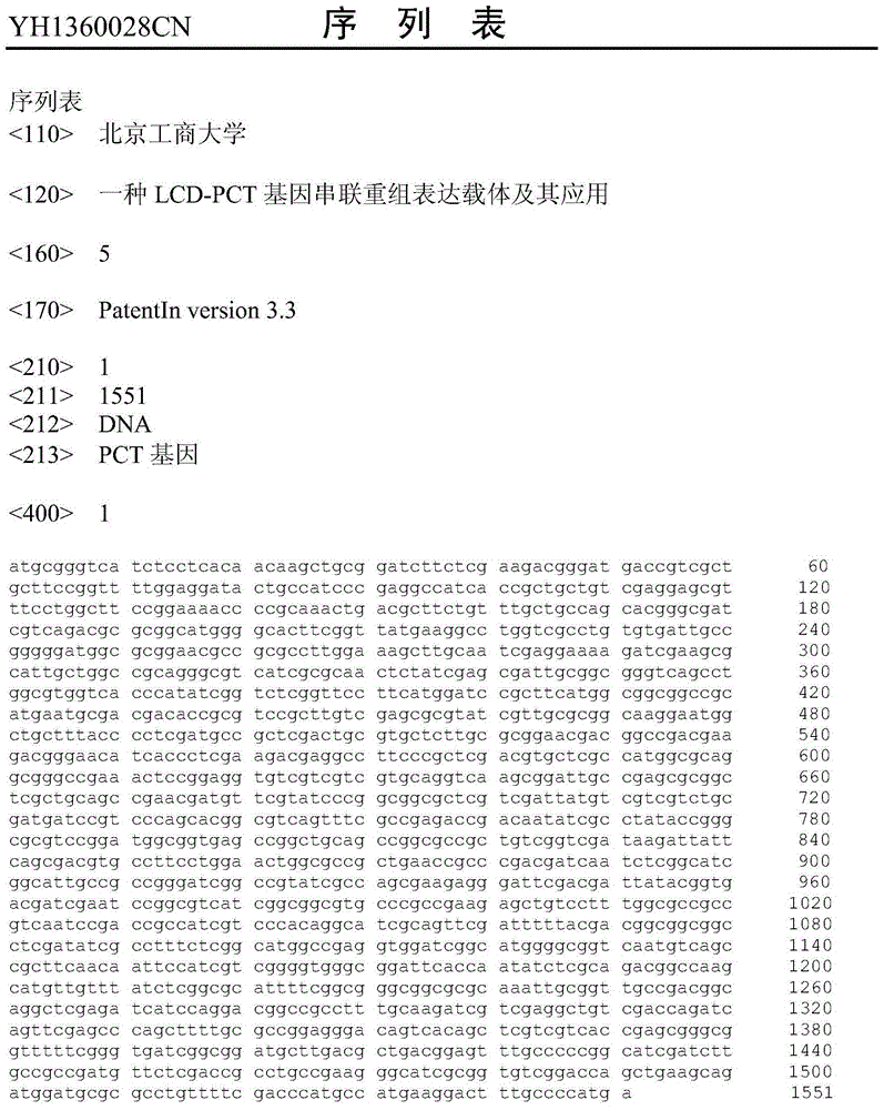 A kind of lcd-pct gene tandem recombination expression vector and its application