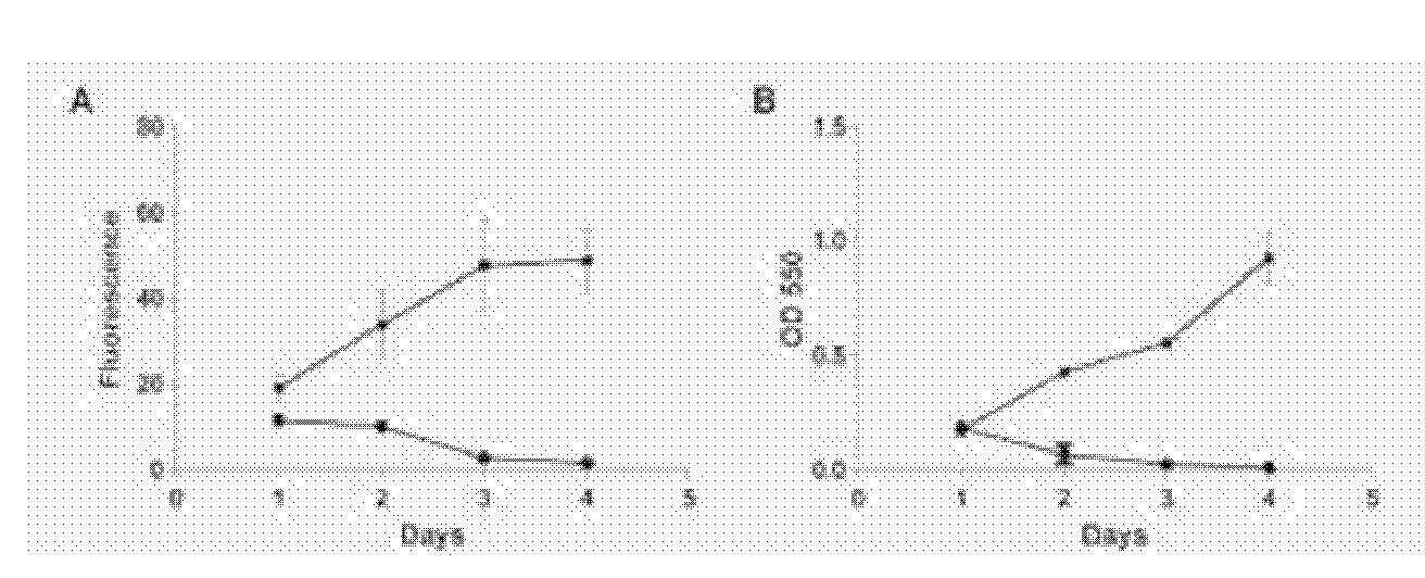 Fluorescent cell model for screening of antitumor drugs, labeling method and application thereof