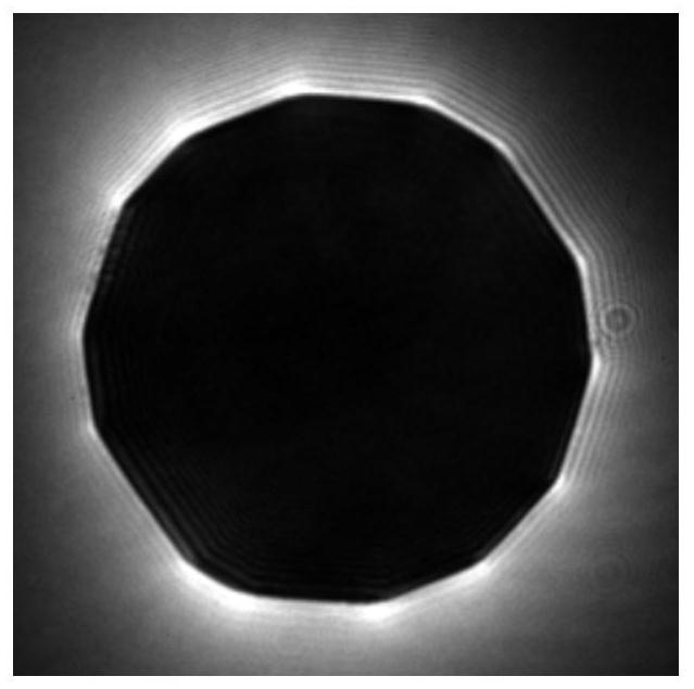 Device for realizing femtosecond time resolution imaging of weak phase object based on vortex filtering