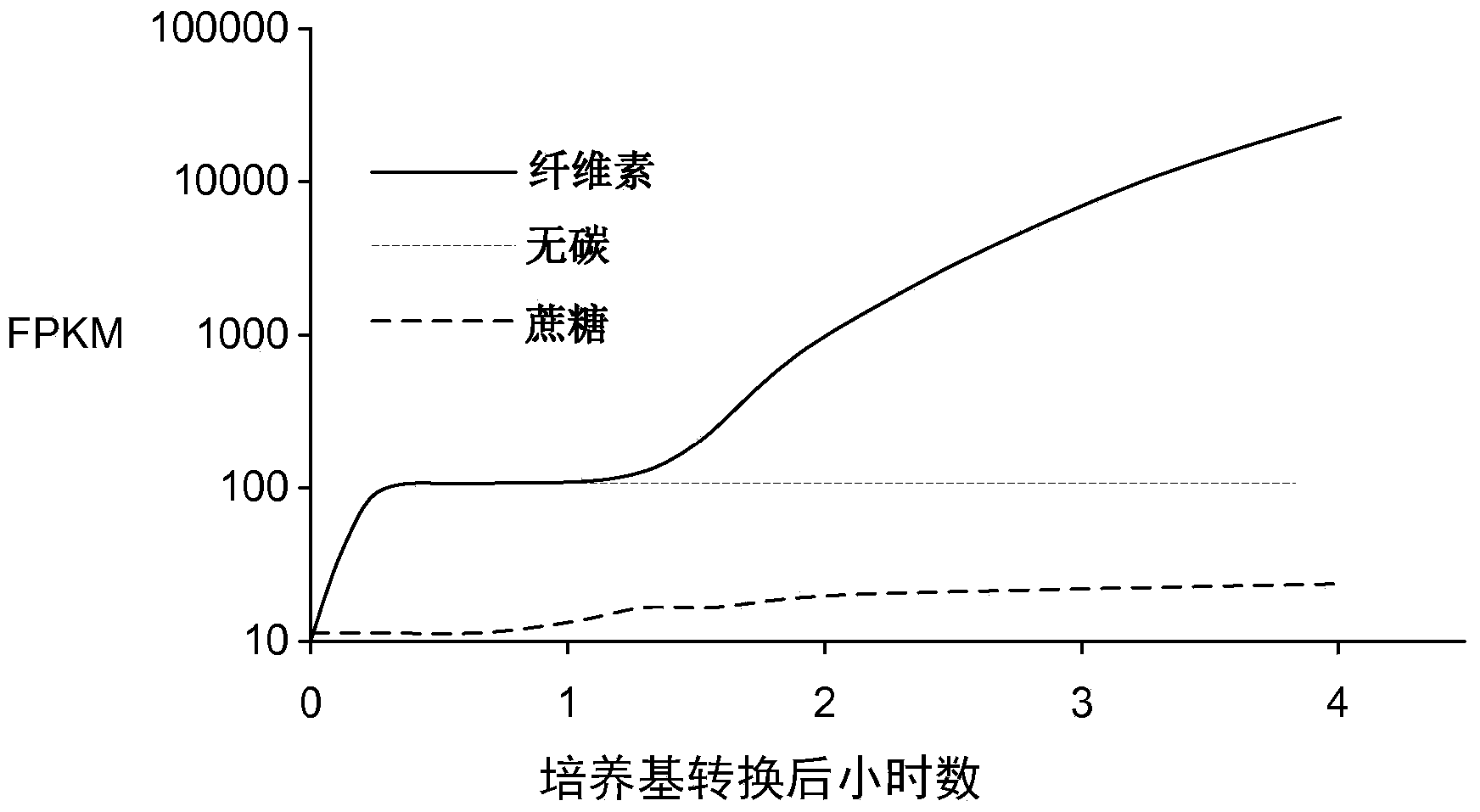 Transcription factors for the production of cellulose degrading enzymes