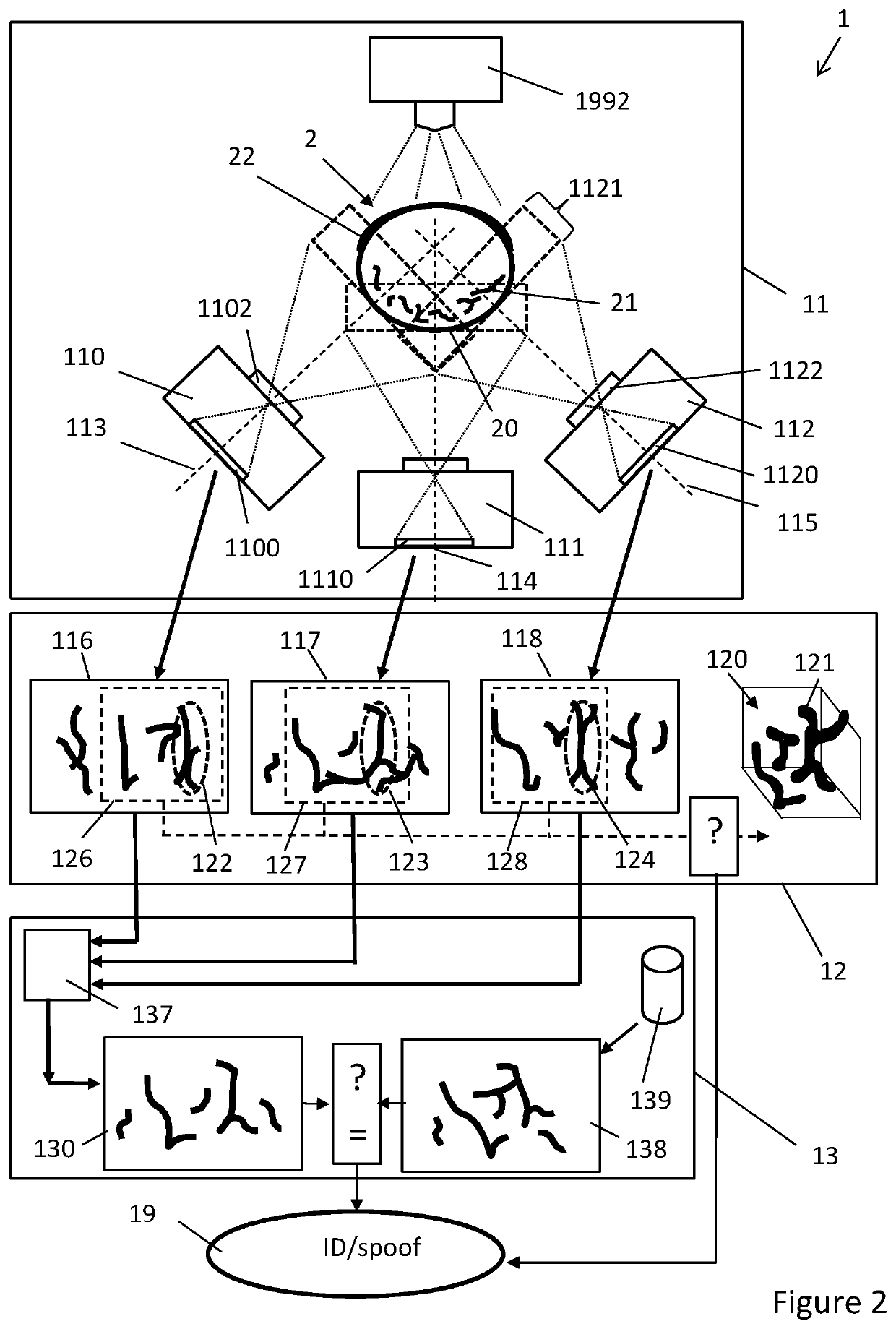 Method and device for biometric vascular recognition and/or identification