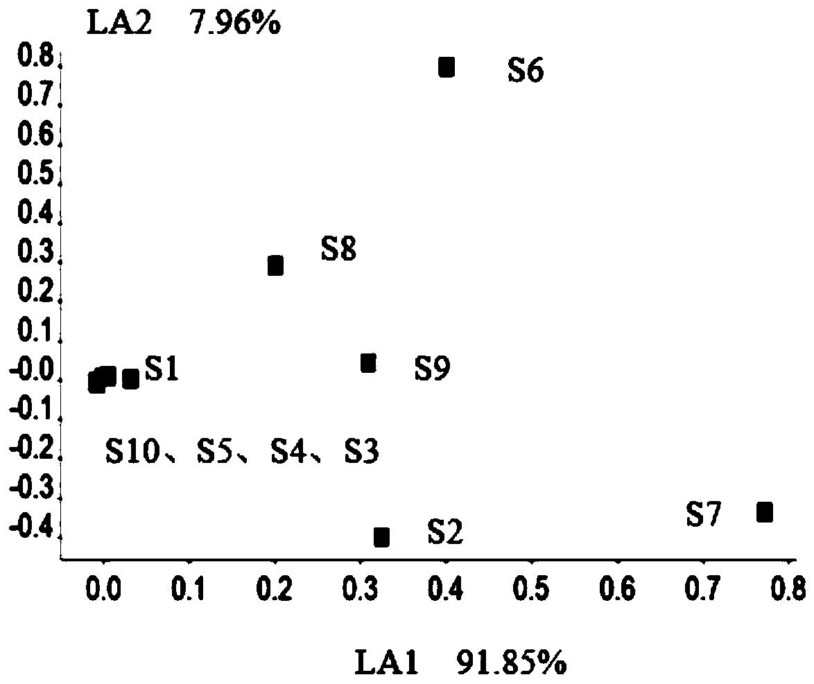 Steamed Lipu taro quality discrimination method based on sensory evaluation and electric nose analysis