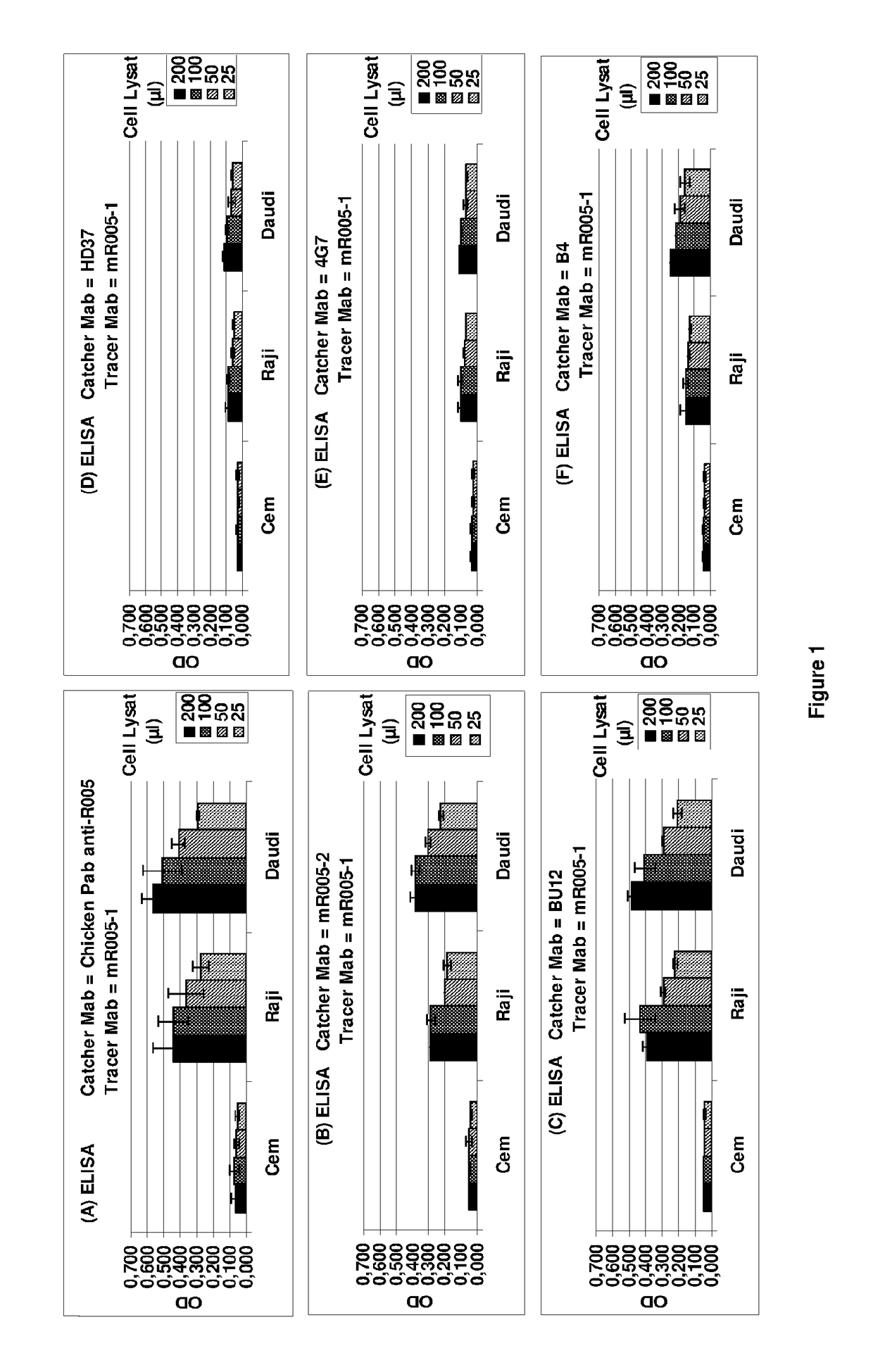 Anti-CD19 antibody having ADCC and CDC functions and improved glycosylation profile