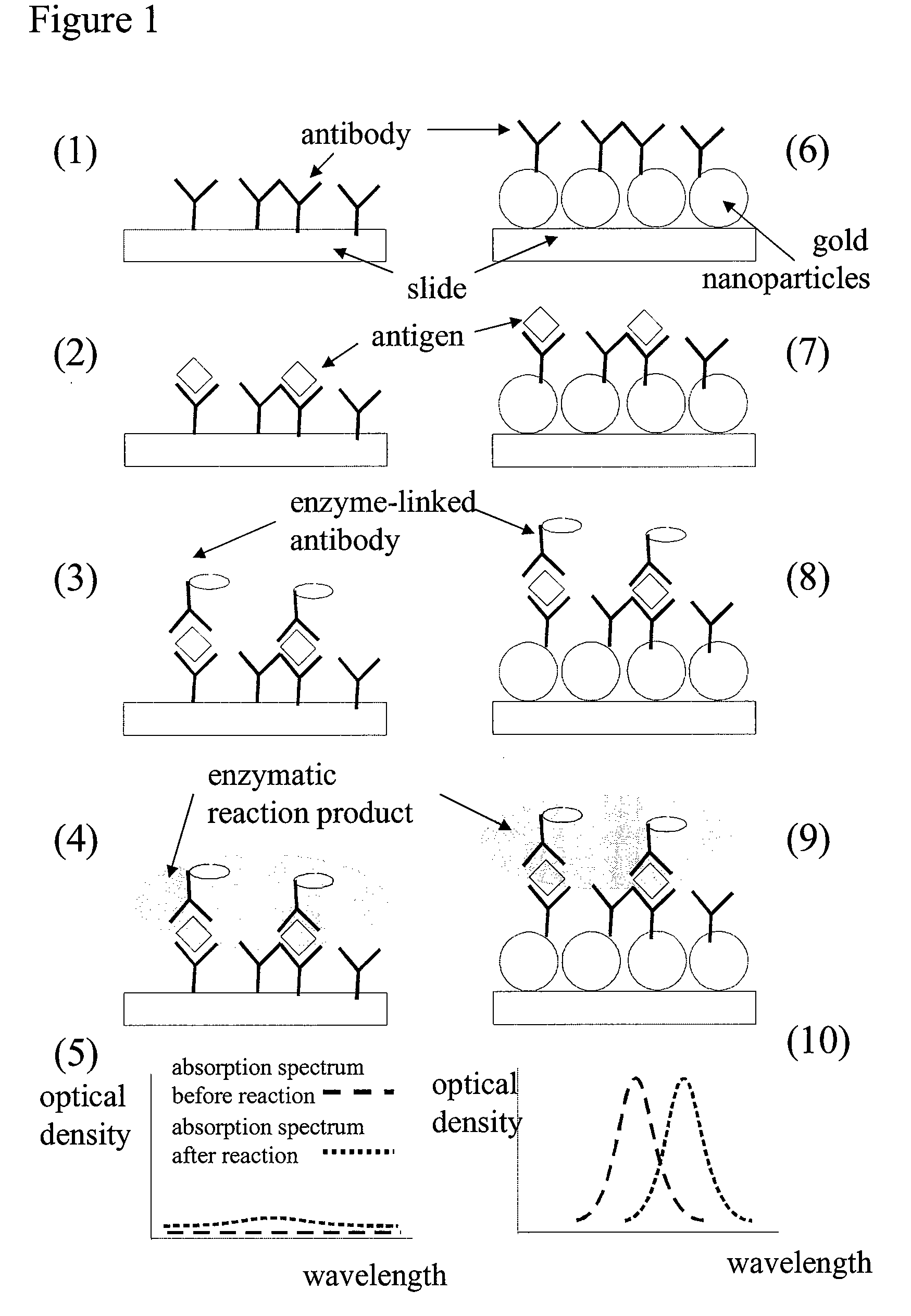 Enzymatic assay for lspr