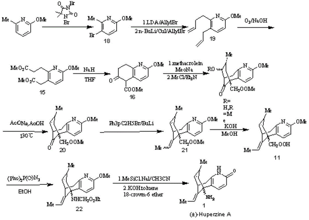 Reversible acetylcholinesterase inhibitor huperzine-A synthesis method