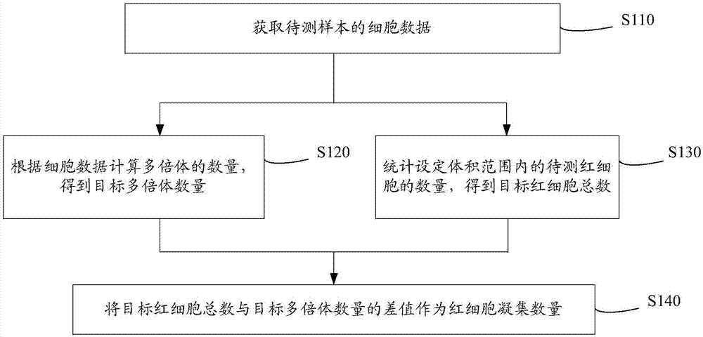 Cell analyzer, erythrocyte agglutination amount measuring method and erythrocyte agglutination amount measuring system of the cell analyzer