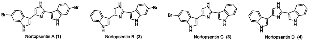 Application of nortopsentin alkaloids and their derivatives in the control of plant diseases and insect pests