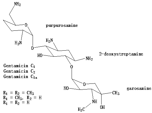 Construction and application of engineering strain mainly producing gentamicin C1a