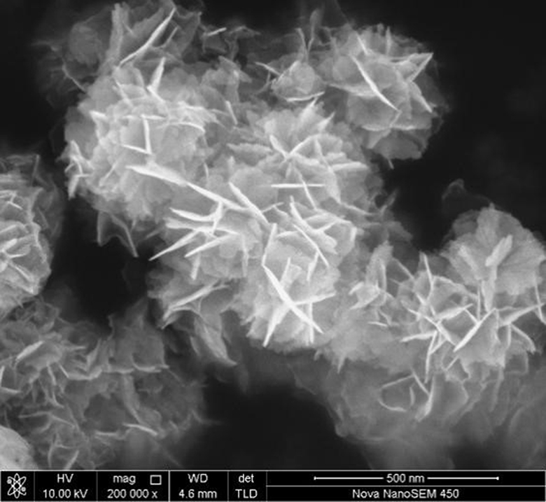 Preparation method of Gd &lt; 3 + &gt; doped BiOBr photocatalytic material