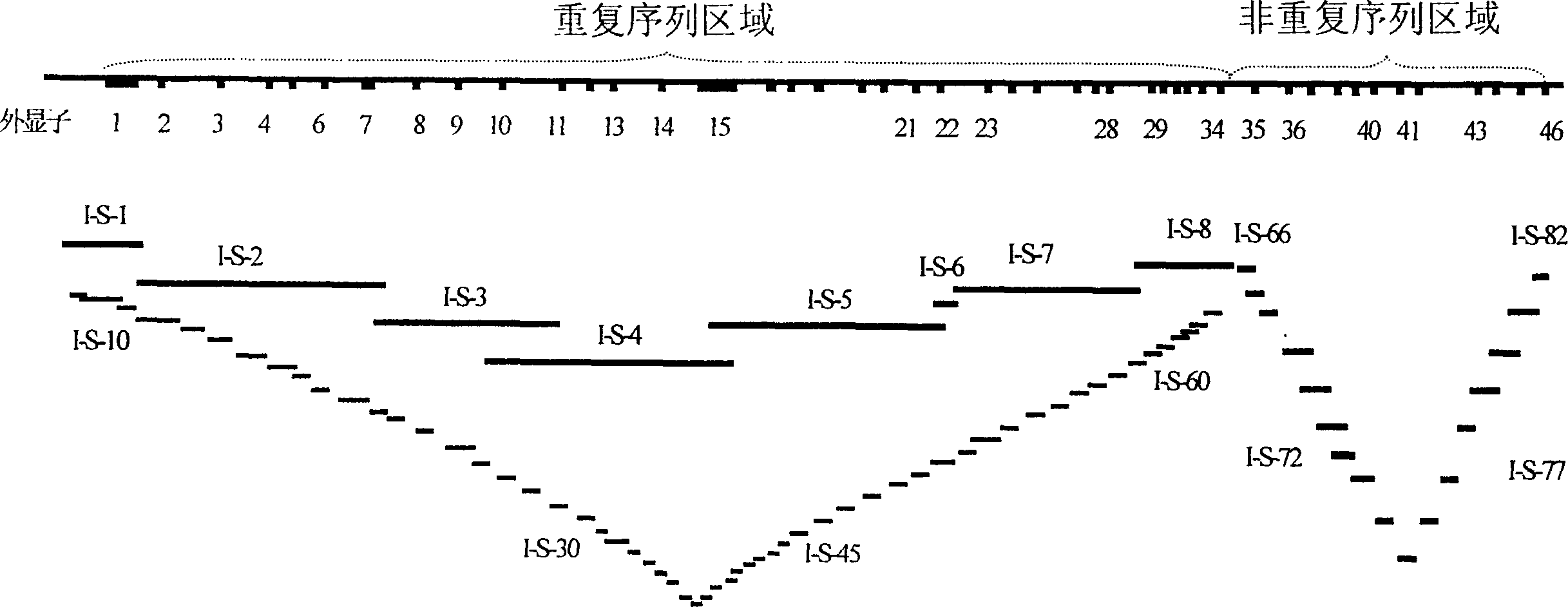 Detection kit for autosomal dominant inheritance polycystic kidney disease