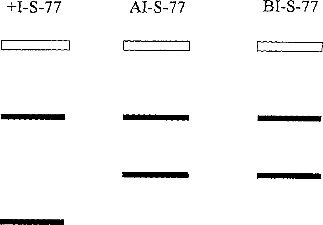 Detection kit for autosomal dominant inheritance polycystic kidney disease