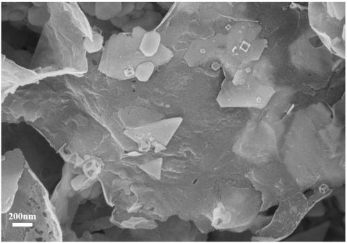 Transition metal chalcogenide nanosheet material and preparation method thereof, battery anode material, secondary battery and application thereof