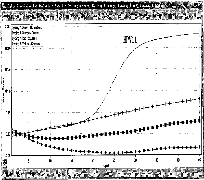 Quadruple fluorescence quantitive PCR typing detection method for common human papillomavirus infection