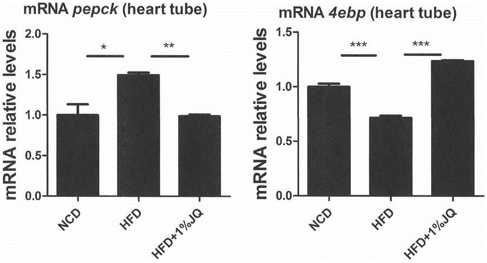 Jinqi glucose-lowering tablet for treating diabetic cardiovascular complications