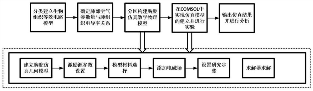 Thoracic cavity electrical impedance simulation method based on human tissue conductivity refined modeling design