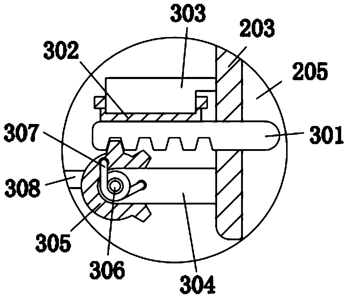 Deoxyribonucleic acid extraction device during nucleic acid detection process