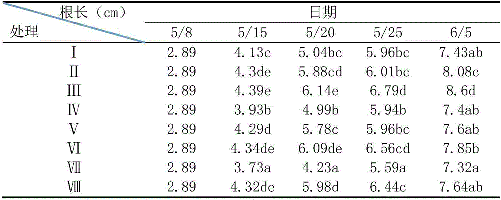 A special root-promoting agent for drip irrigation rice under plastic film and its application