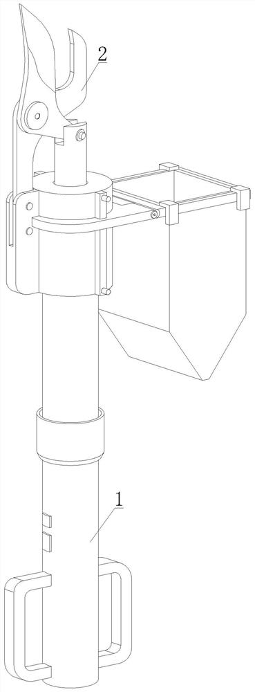 Nursery stock shaping and pruning device for new perennial root flower breeding