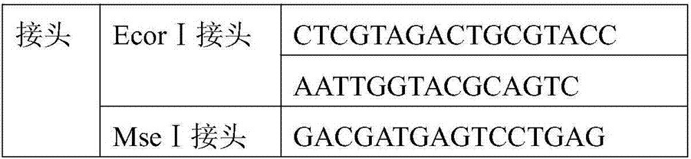 DNA (deoxyribonucleic acid) molecular markers for identifying early bolting of angelica sinensis and application of DNA molecular markers