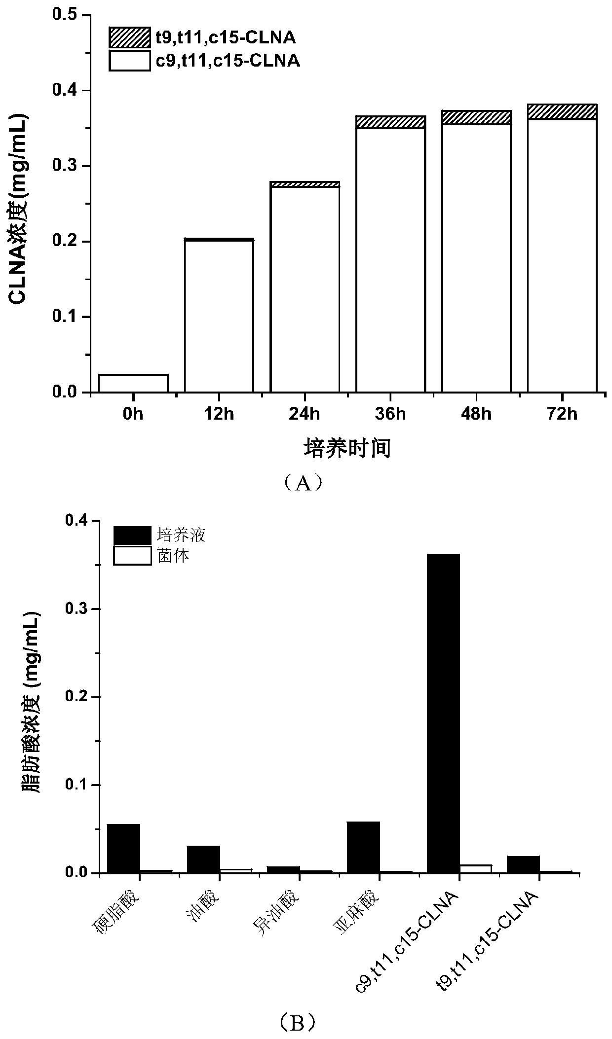 Bifidobacterium breve and application thereof in preparation of conjugated fatty acid