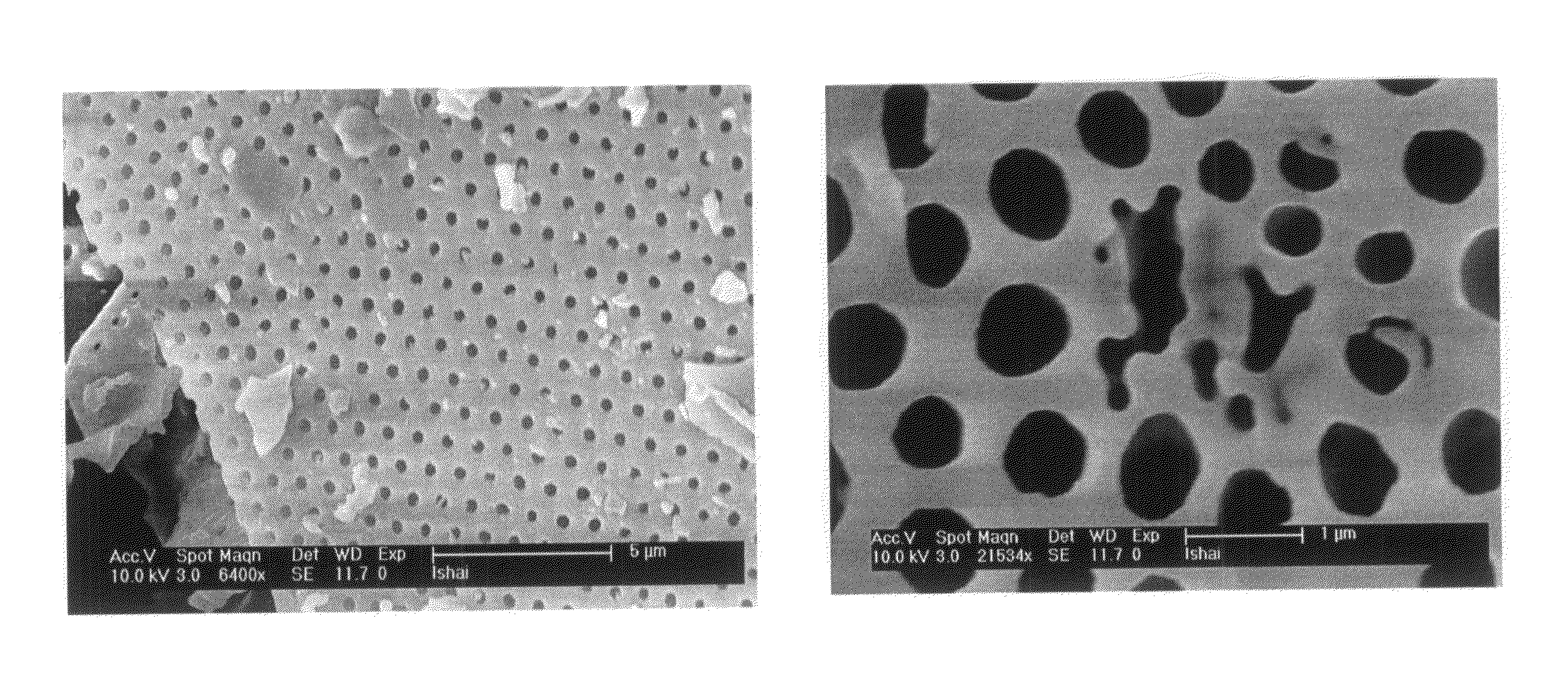 Zero valent metal composite, manufacturing, system and method using thereof, for catalytically treating contaminated water