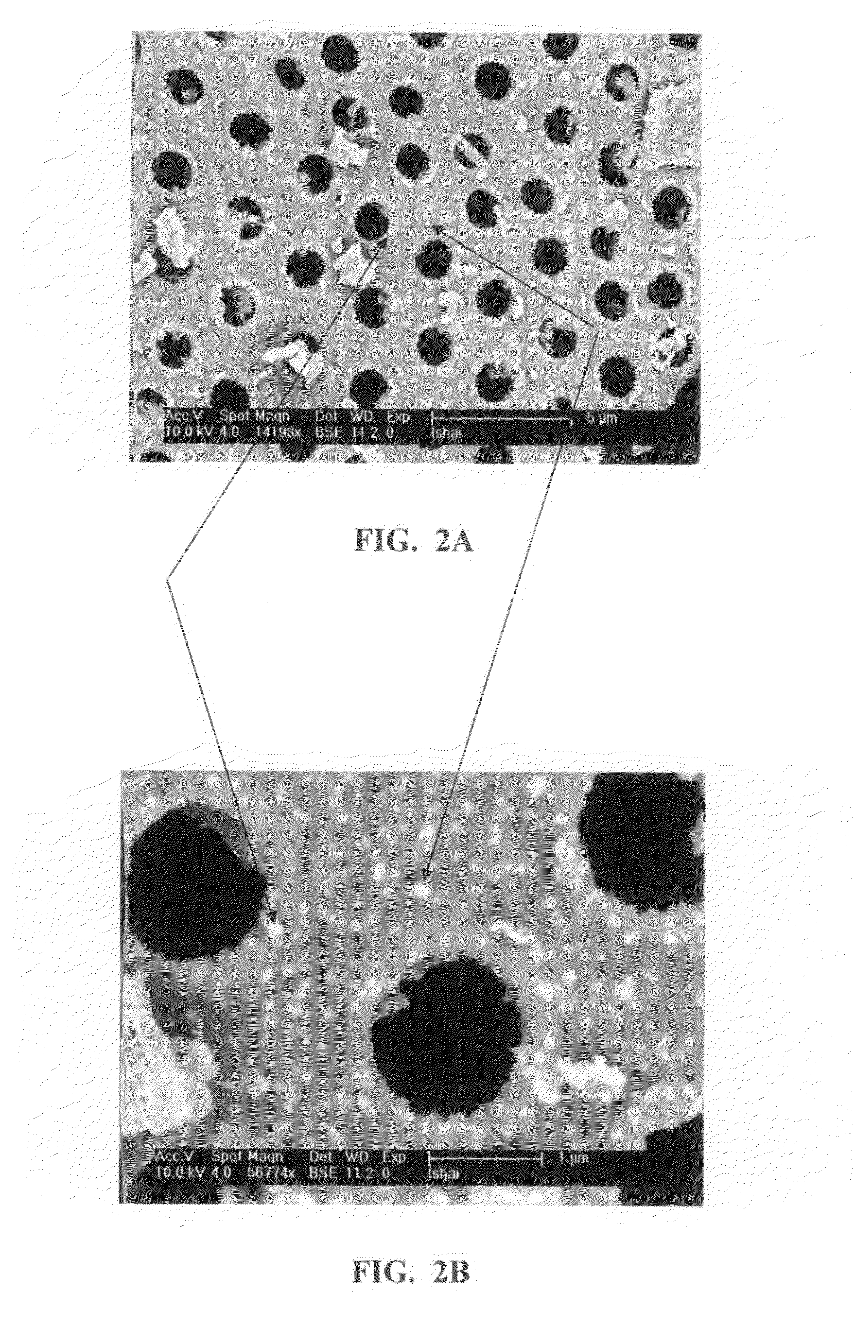 Zero valent metal composite, manufacturing, system and method using thereof, for catalytically treating contaminated water