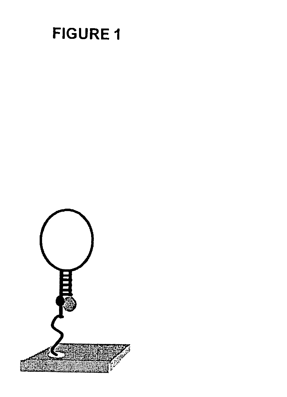 Methods and compositions for high throughput identification of protein/nucleic acid binding pairs