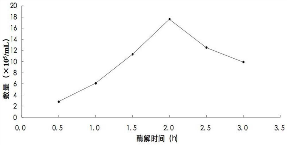 Preparation method of protoplast of Tilletia glabrata