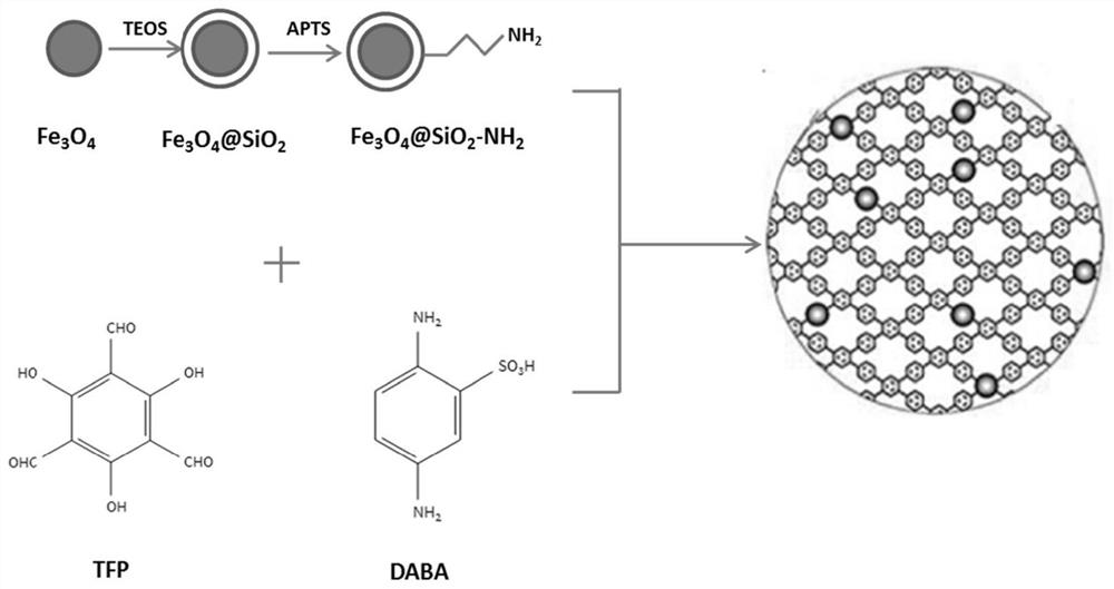 A kind of magnetic sulfonic acid functionalized cofs material and its preparation method and application