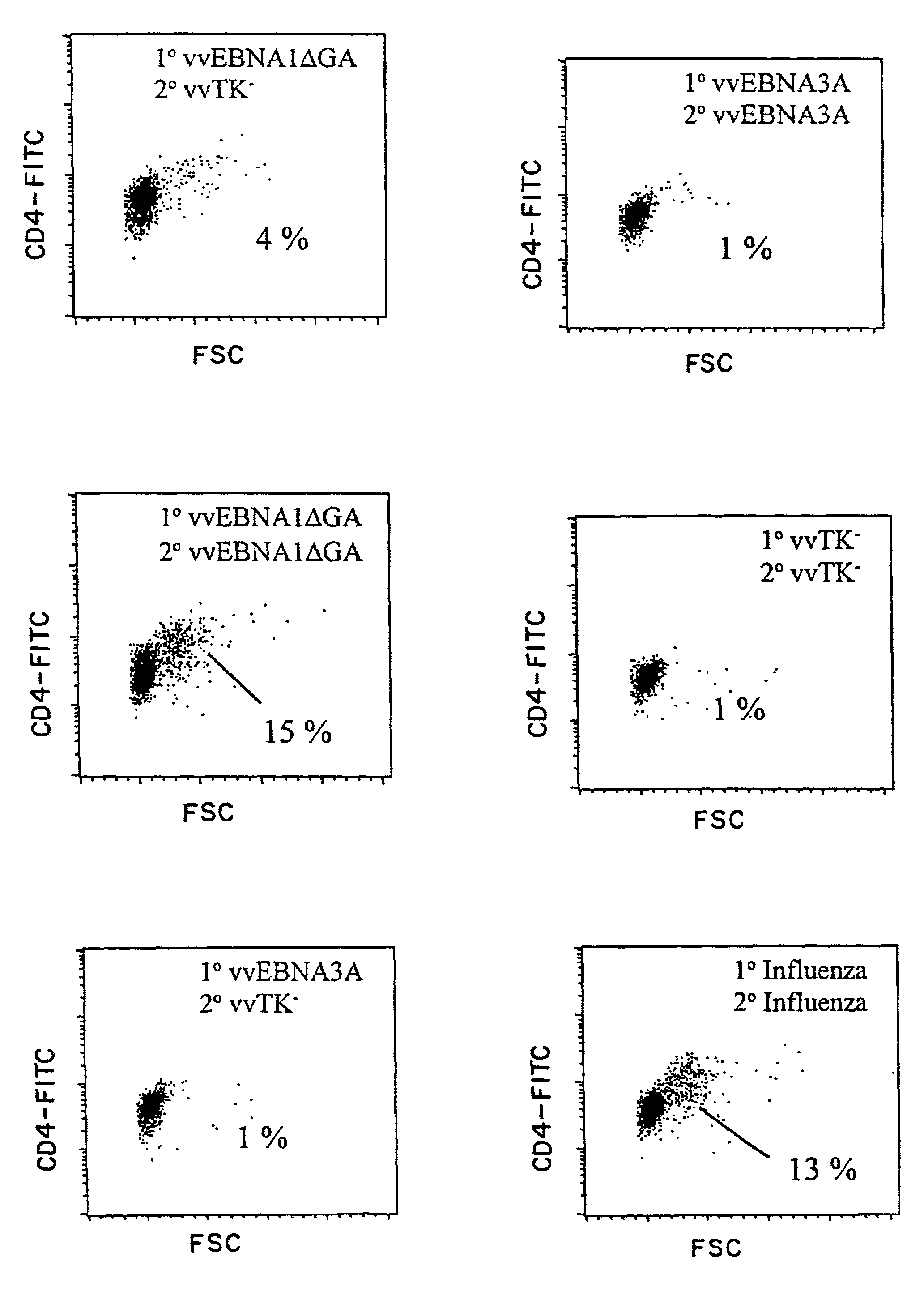 Protective antigen of Epstein Barr Virus