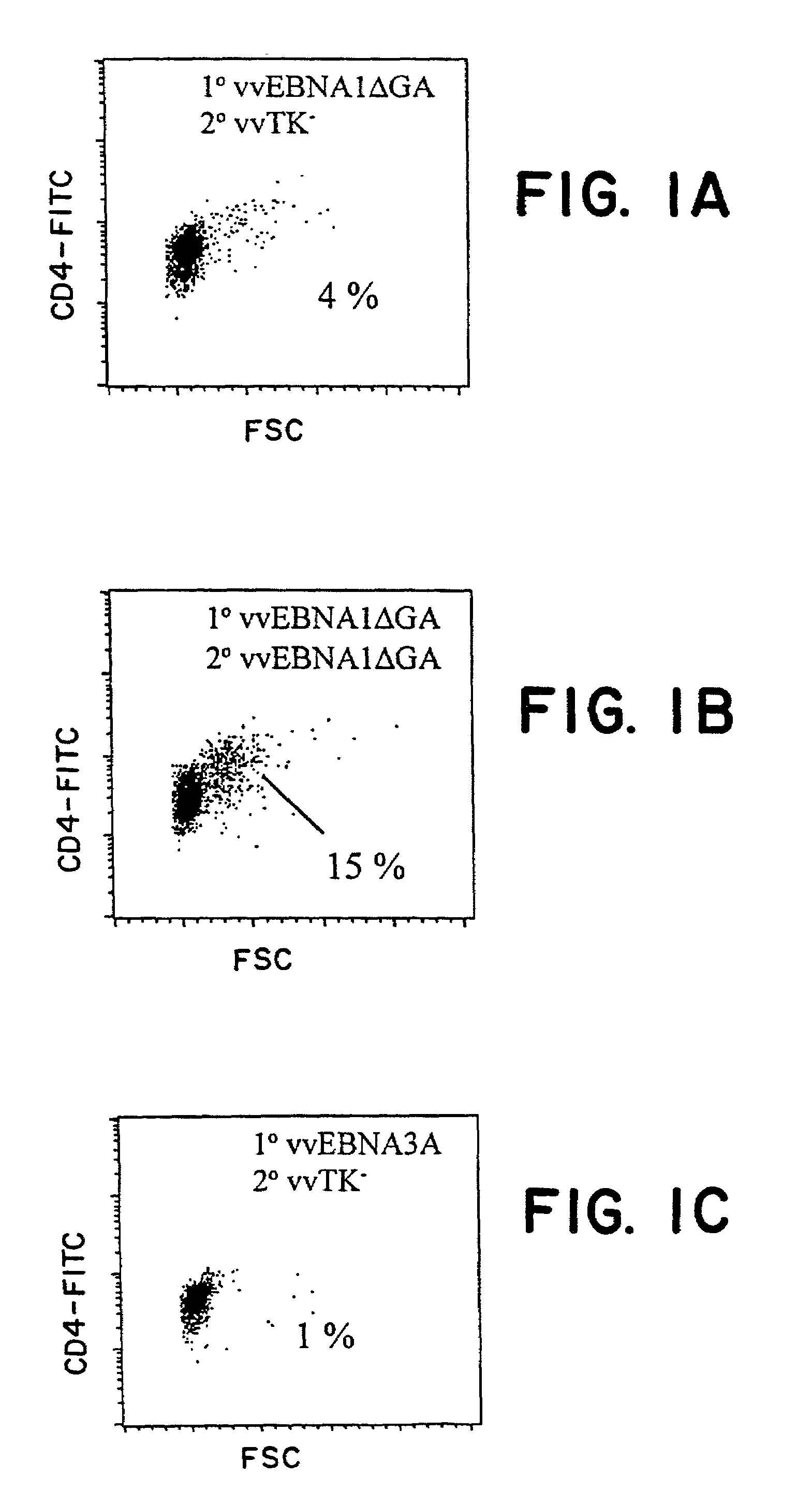 Protective antigen of Epstein Barr Virus