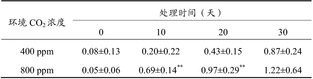 Method for accelerating biomass accumulation of paris polyphylla by increasing carbon dioxide concentration