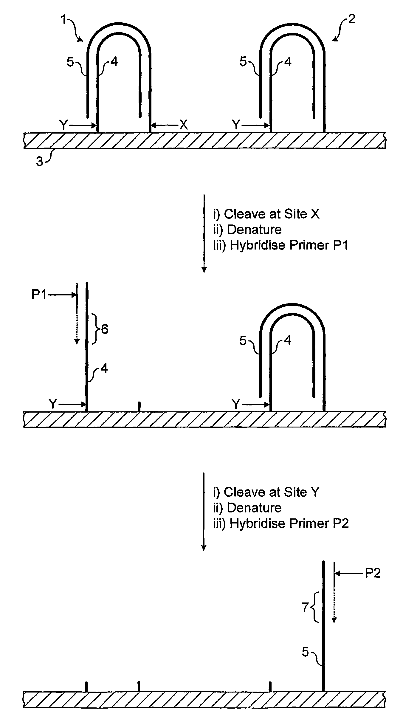 Method for sequencing a polynucleotide template